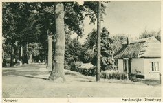 Nr.: 11918 - Nunspeet Harderwijker Straatweg rechts: witgepleisterd pand met rieten dak; links klinkerweg met links en ...