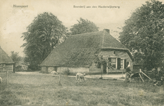 Nr.: 11928 - Nunspeet  Boerderij aan den Harderwijkerweg boerderij met rietgedekte wolfskap; voorgrond geit op ...