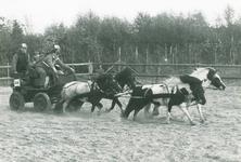 13715 - menwedstrijd Hulshorst; paardesport