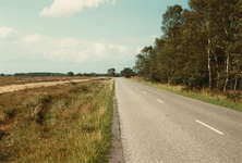 N 8235 - Vierhouterweg van Elspeet naar Vierhouten; achter de bomenrand de Noorderheide