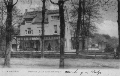 N 8551 - Groot pand van drie verdiepingen; aan voor- en zijkant serres; het pand heeft daken van verschillende hoogte ...