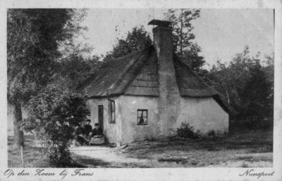 NUN002009144 Op den Zoom bij Frans - Nunspeet