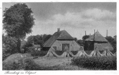 NUN002009553 Boerderij in Elspeet