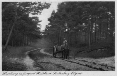 NUN002009556 Boschweg en fietpad Hulshorst-Stakenberg-Elspeet