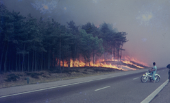 2256 grote vuurzee in het bos bij 't Harde foto is genomen vanaf de snelweg A 28