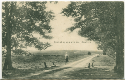ERM001000010 Gezicht op den weg naar Garderen