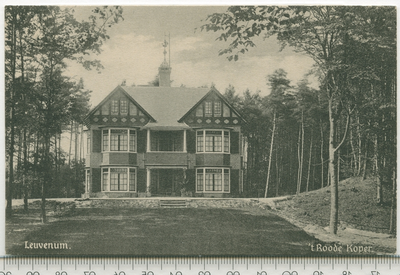 ERM001000153 Leuvenum 't Ro0de Koper