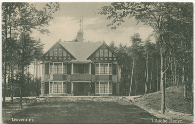 ERM001000195 Leuvenum 't Roode Koper 