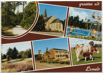 5166 - Met de klok rond: bospad, Oude Nederlands Hervormde kerk, bosbad, koe met kalf, gemeentehuis, heide en bos