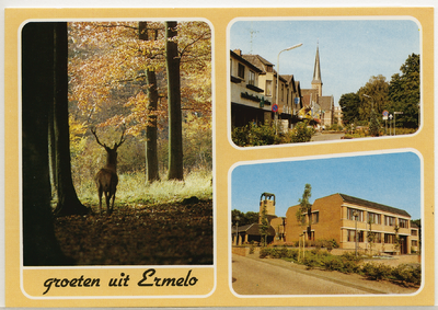 5170 - Ansichtkaart met drie afbeeldingen: 1. damhert in bos, 2. Stationsstraat en 3. Gemeentehuis