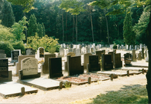 8479 - Een deel van de begraafplaats, gelegen in een bosrijke omgeving