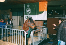 8532 - In de ontvangsthal staat een paard ten toon gesteld door de Koninklijke Nederlandse Federatie van Landelijke ...