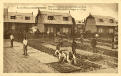 Nr.: 538 - Leopoldsdorp Harderwijk; Gezicht gedeelte groententuin en dorp. / Vue partielle jardin potager et village, ...