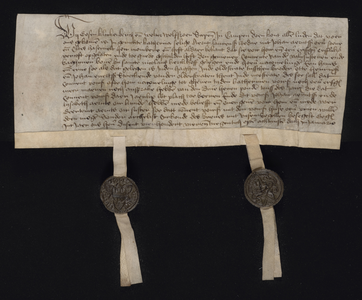 3 Bekendmaking van de verkoop van land aan het convent van de vale zusters en begijnen bij het St. Nicolaaskerkhof