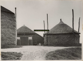 F001052 Boerderij van C. Rook, erf 27, boerderij van het Hollands type met voor een topgevel, achter een wolvendak .