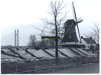 F005217 Nooddijk aan de IJsseldijk,links de Molenbrug, rechts de molen D' Olde Zwarver.