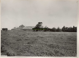 F001053 Boerderij van C. Rook Erf 27, oude boerderij (anno 1722) Hollands type met drie hooibergen op het Kampereiland .