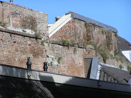 F013006 Een gedeelte van de oude middeleeuwse stadsmuur naast de Koornmarktspoort, deze oude stadmuur maakt ...