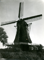 F004259 Molen d'Olde Zwarver aan de IJsseldijk, de laatste windkorenmolen (uit 1842) in Kampen. De molen is in 1952 ...