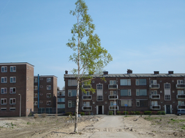 F013128 Skonenvaardersstraat met uitzicht op de balkonzijde van de woningflats aan de Hanzelaan en de Volcmarstraat ...