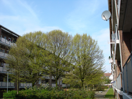 F013132 Balkon/achterzijde van de woningflats aan de Keulsestraat en de Hanzelaan in de Hanzewijk voor en tijdens de ...