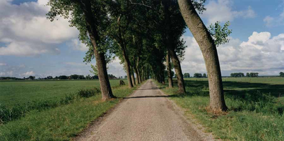 F013201 De Bovenbroeksweg, de horizon wordt gevormd door de Zwartedijk.