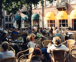 F013271 Terras op de Plantage.