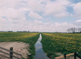 F013241 Landschap Kampereiland nabij Kampen, op de horizon loopt de Heultjesweg.