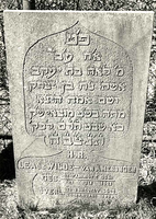 F003945 Grafsteen van Lea de Wilde-van Amerongen, geboren 21 juli 1821/21 Tammoez (5)581). - H(ier is) b(egraven) de ...
