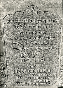 F004005 Grafsteen van Jozef Stibbe D. zn, geboren 16 juli 1837/13 Tammoez (5)597). - H(ier is) b(egraven) de ...