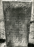 F004019 Grafsteen van Mariana Zendijk, overleden 10 maart 1849 - oud 23 jaar. Mirjam stierf daar en werd daar begraven ...