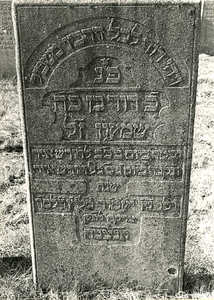 F004117 Grafsteen van David Simon Magnis, oud 83 jaar - En David was voorspoedig op al zijn wegen, 1 Sam. 18. 14 - ...