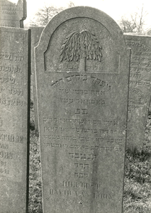 F004154 Grafsteen van David van Loon, overleden 17 mei 1870, oud 31 jaar. Eik van geween - zie Gen. 35.8 - Maar de ...