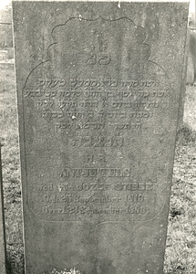 F004158 Grafsteen van Antje Tels, weduwe van Jozef Stibbe, geboren 25 september 1816, overleden 23 september 1880 - ...