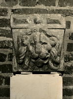 F003331 Zandstenen 16e eeuwse gevelsteen, leeuwenkop gevat in rechthoekige steen.
