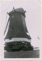 F006147 Op 7 april 1952 werd de meer dan 100 jaar oude korenmolen 'de olde zwarver' (bouwjaar 1842) op een dieplader ...
