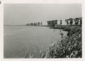 F006161 De rivier de IJssel nabij houthandel Kramer aan de IJsseldijk, rechts bij de bomen is de Kamperstraatweg.