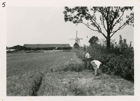 F006162 De uiterwaard achter houthandel Kramer aan de IJsseldijk.