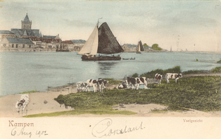 F000116 Gezicht rond 1900 op de Buitenkerk en de IJssel.