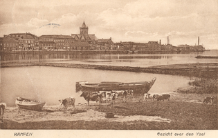 F000117 Gezicht over den IJssel op de stad Kampen, in het midden steek te de toren van de R.K. Buitenkerk boven de daken uit.
