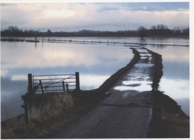 F013659 Ondergelopen uiterwaarden in de omgeving van Zalk tijdens de hoge waterstand in 2004.