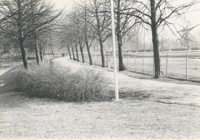 F013741 Buitensingel, rechts het hertenkamp. De naam is vastgesteld in 1934, waarbij werd teruggegrepen op de oude ...