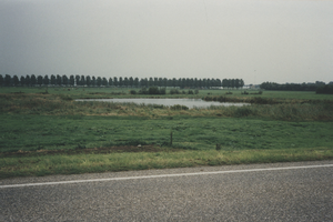 F014909 Kolk Staatsbosbeheer gezien vanaf de Kamperzeedijk bij Grafhorst.