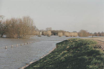 F015216 Hoog water in de IJssel .