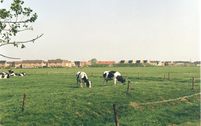 F015488 Buitengebied van IJsselmuiden.