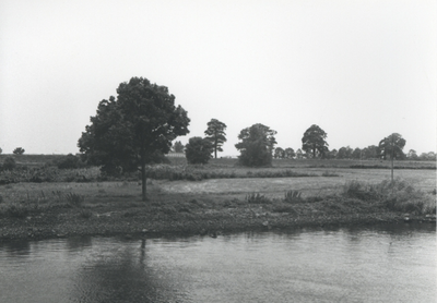 F015668 Fotoreportage van de oevers van de De Hank aan de IJsselzijde (tussen Wilsum en De Zande).