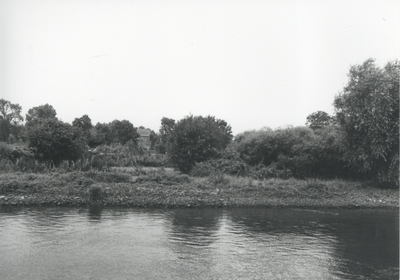 F015669 Fotoreportage van de oevers van de De Hank aan de IJsselzijde (tussen Wilsum en De Zande).