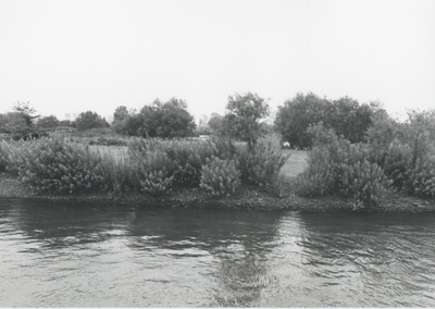 F015680 Fotoreportage van de oevers van de De Hank aan de IJsselzijde (tussen Wilsum en De Zande).