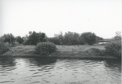 F015681 Fotoreportage van de oevers van de De Hank aan de IJsselzijde (tussen Wilsum en De Zande).