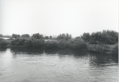 F015682 Fotoreportage van de oevers van de De Hank aan de IJsselzijde (tussen Wilsum en De Zande).